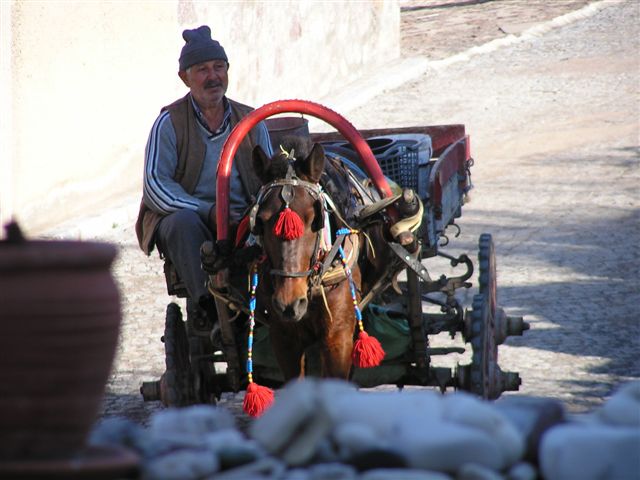 horse-cart-in-yasibey.jpg