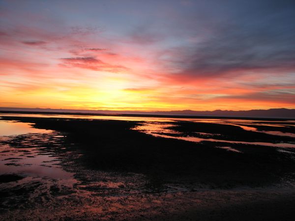low tide sunrise