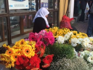 A daily scene on the street in Arnavutköy, a gypsy flower merchant. Ann Marie's Istanbul