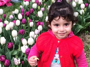 Every Turk loves tulip season: Ann Marie's Istanbul