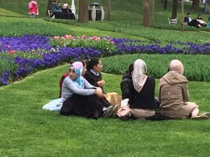 Turkish lovelies bask among the tulip displays, Istanbul: Ann Marie's Istanbul